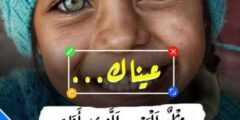 افضل تطبيق للكتابة على الصور لاجهزة ايفون