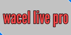 تطبيق wacel live pro لمشاهدة الأفلام والمسلسلات بدقة عالية